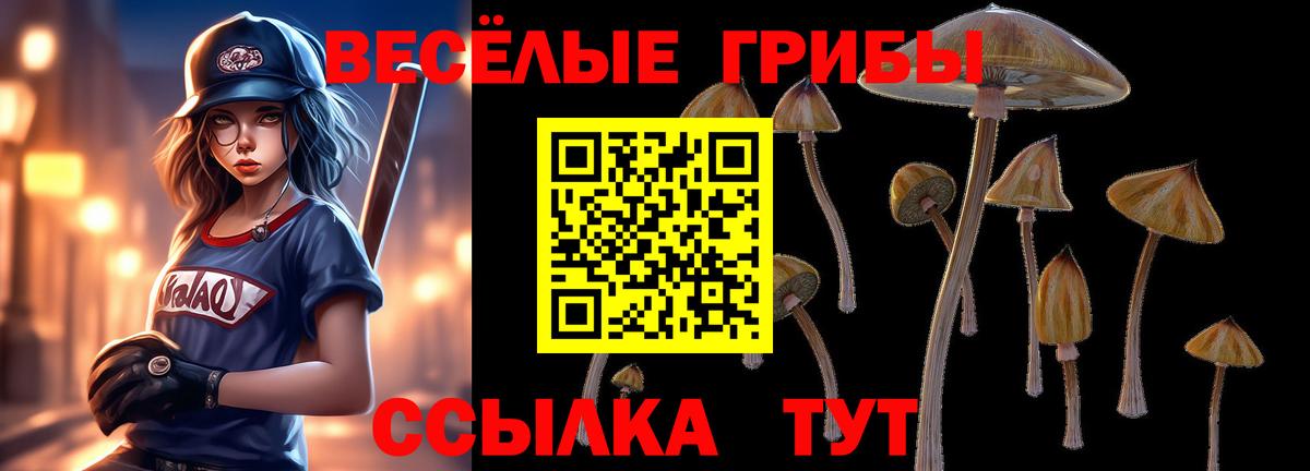 Галлюциногенные грибы прущие грибы  Вход с VPN  Ульяновск 